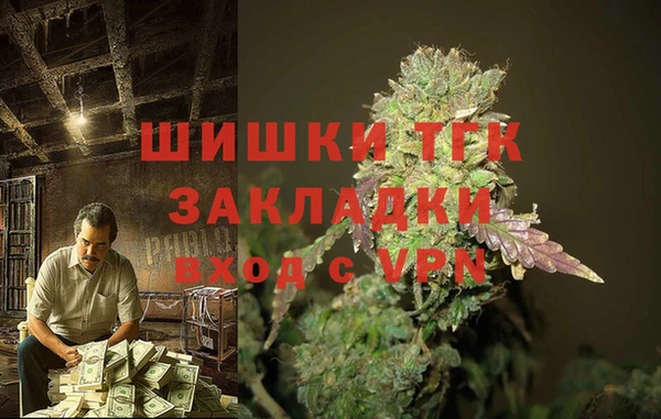 ПСИЛОЦИБИНОВЫЕ ГРИБЫ Михайловка