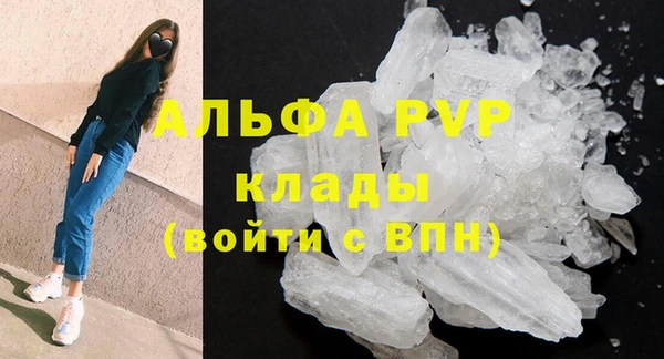 ПСИЛОЦИБИНОВЫЕ ГРИБЫ Михайловка