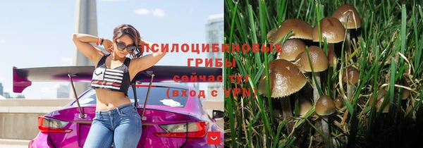 jwh Михайловск