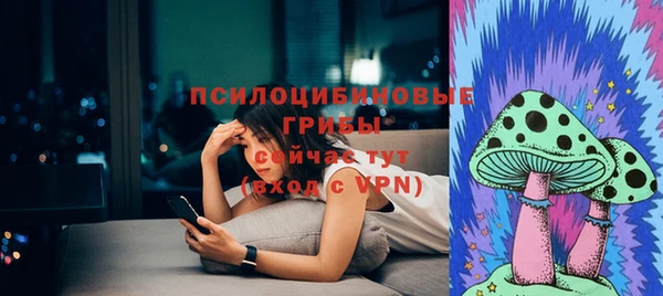 ПСИЛОЦИБИНОВЫЕ ГРИБЫ Михайловка