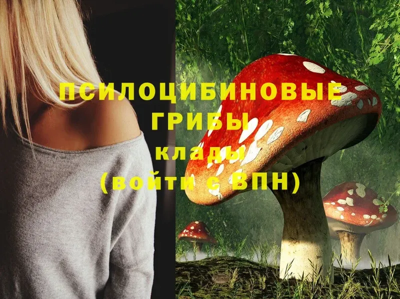 Псилоцибиновые грибы Magic Shrooms  Галич 